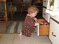 IMG_0335