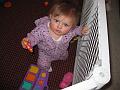 IMG_0337