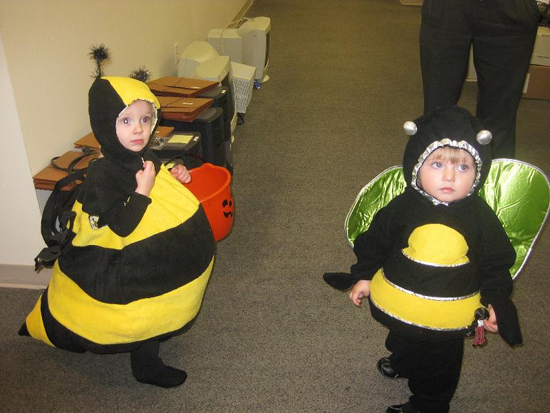 IMG_1090.JPG - Macie wasn't the only bee there ... the other one had quite a stinger!