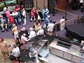 IMG_0244