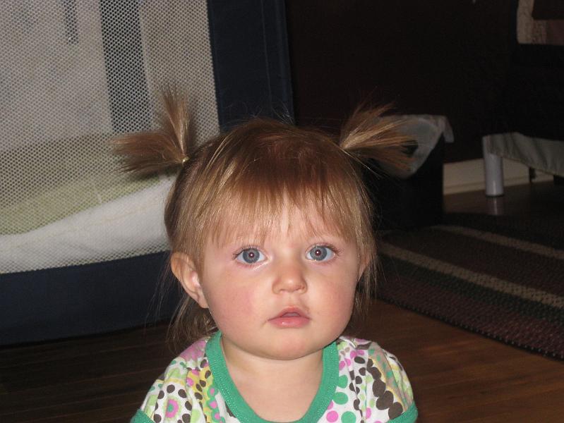 IMG_0872.JPG - I can't believe you did this to my hair again ...