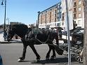 IMG_1720